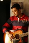 feli kk